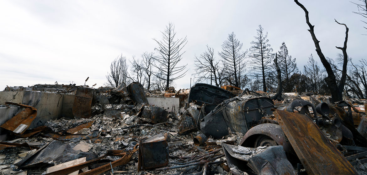 Wildfire Damage