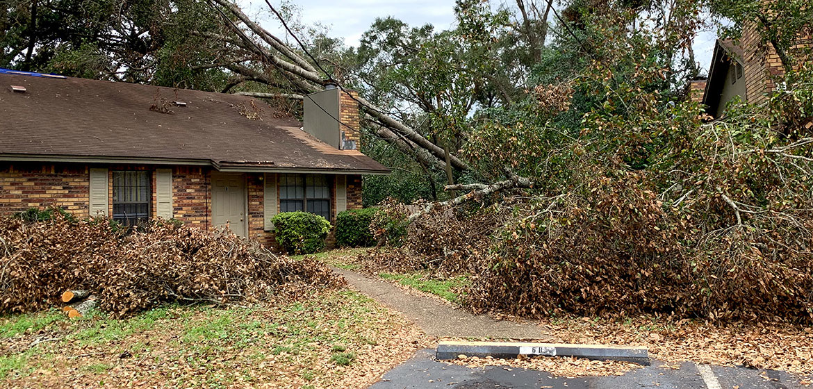 Why Policyholders Should Hire A Public Adjuster For Hurricane Sally Property Insurance Claims