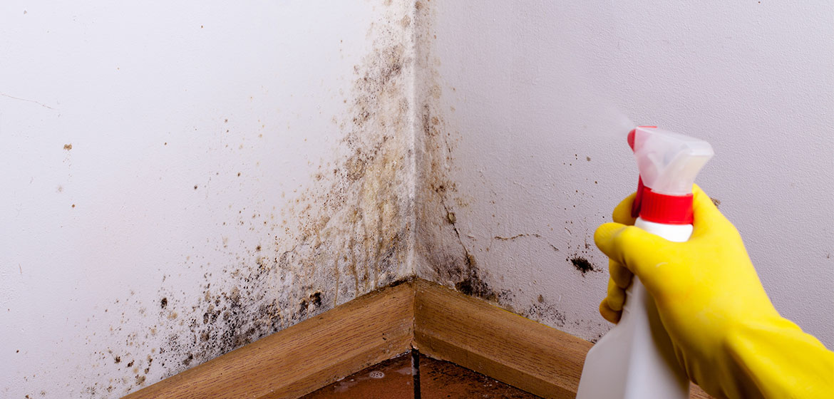 How To Deal With Commercial Water Damage