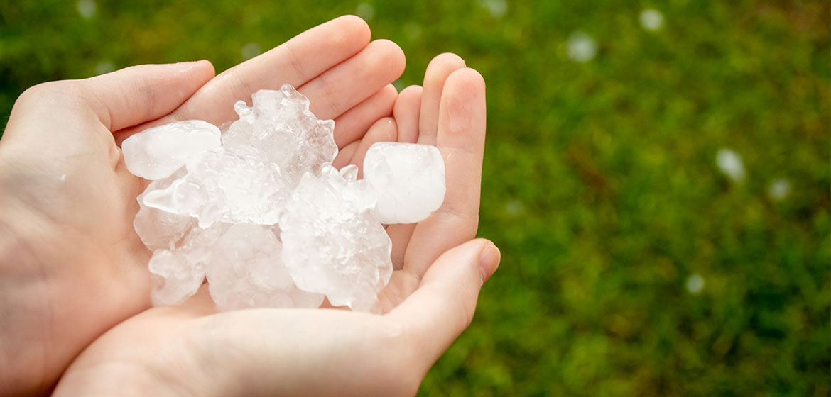 Investigating The Common Myths About Hail Damage